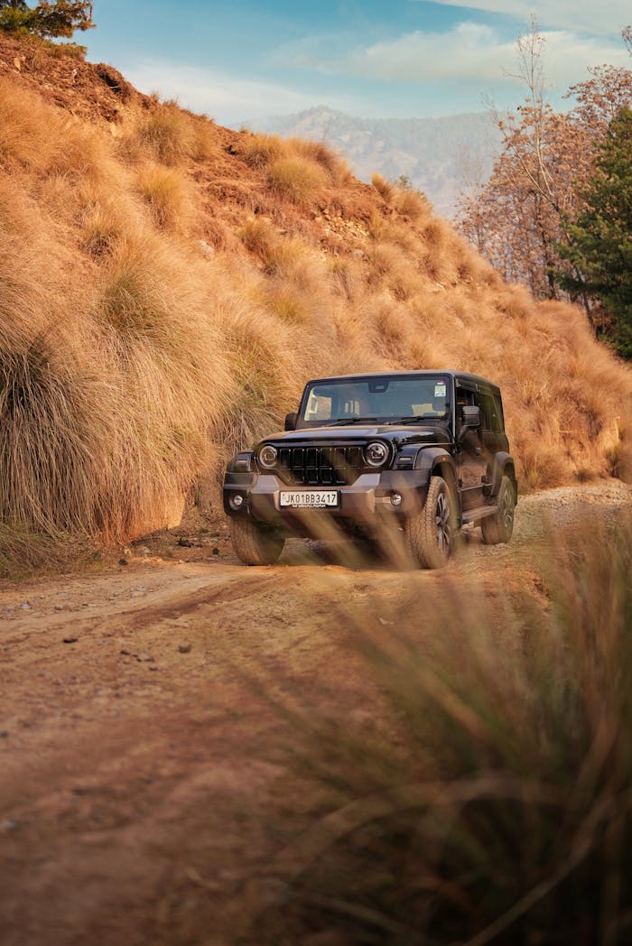 pexels photo 34888985.jpeg