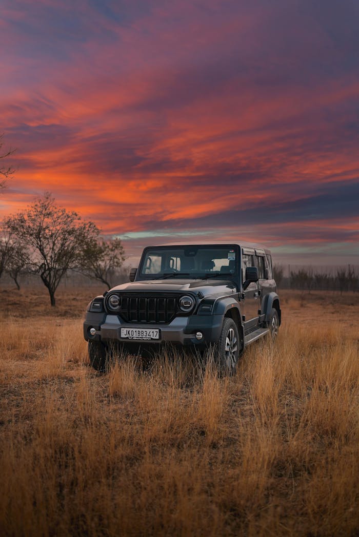 pexels photo 34940425.jpeg