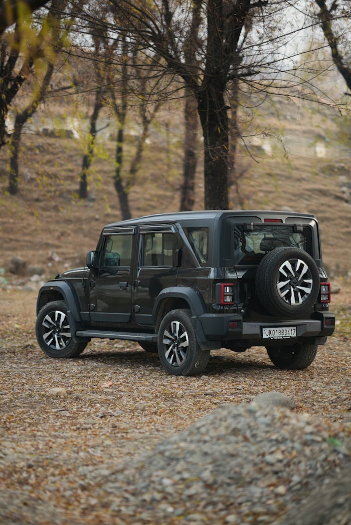 pexels photo 35071398.jpeg