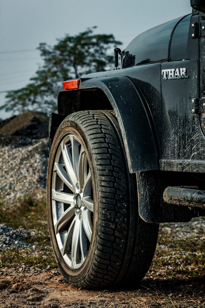 pexels photo 9623919.jpeg